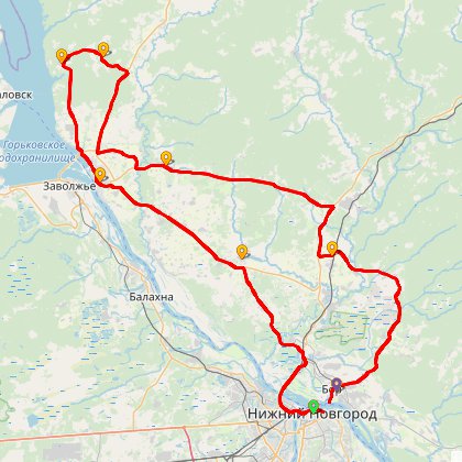 Карта путешествия: Бревет 200/8 "Новый Борский"